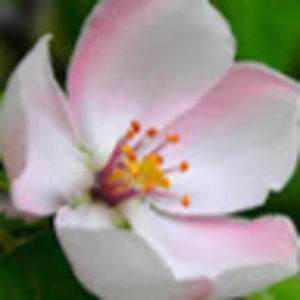 Meet your Posher, Arielle